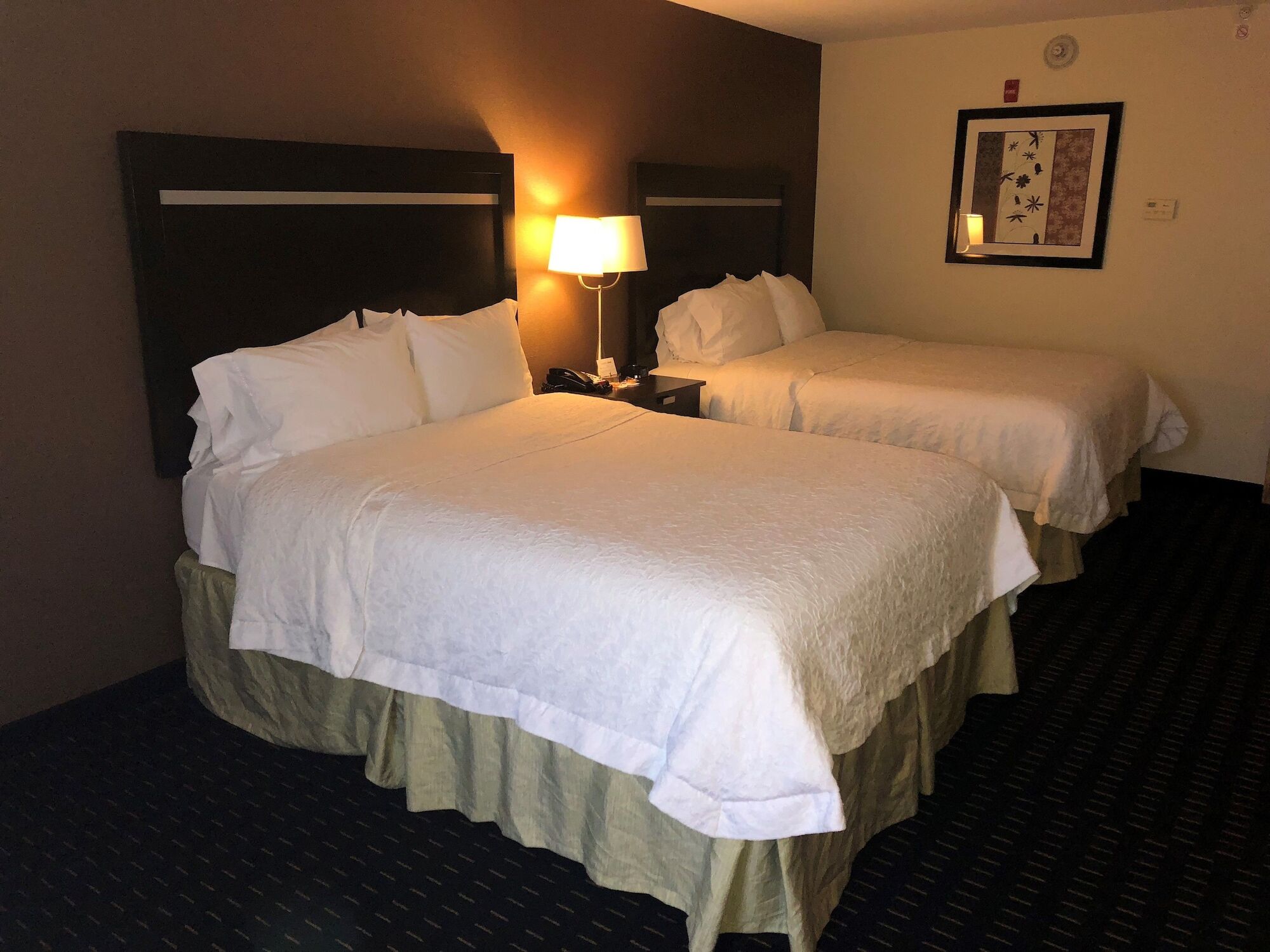 Hampton Inn Jericho - Westbury 外观 照片